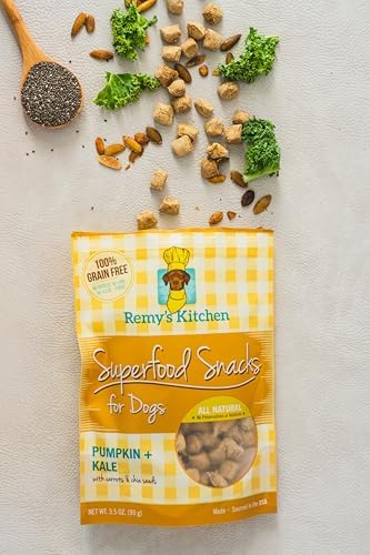 Pumpkin Kale Freeze Dried Dog Treats USA Sourced and Small Batch Made - Human-Grade, All Natural Superfood Dog Snacks Without Artificial Preservatives, Grain Free - 3.5 oz