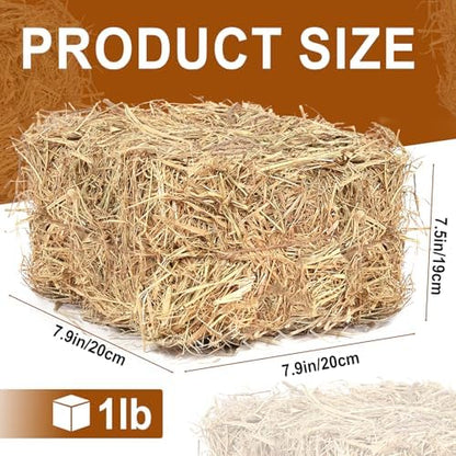 Natural Wheat Straw –1 LB Hay Bales for Decoration, Clean Dry Straw Bale