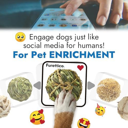 Natural Dog Chew Toy, 1pcs Woven Grass Chew Ball for Dogs, Dental Teething Toy & Interactive Fetch Toys, Outdoor Rattan Digestible Chew Ball for Boredom Relief - Seaweed & Timothy Hay