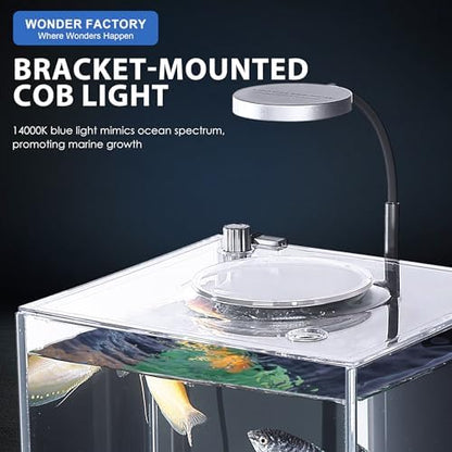 Nano Desktop Betta Fish Tank Set, 2.7 Gallon Glass Aquarium Hidden Bottom Filtration System Self Cleaning Filter Light Gravel Plant Cleaning Tool, for Small Space Easy Setup Space-Saving Design