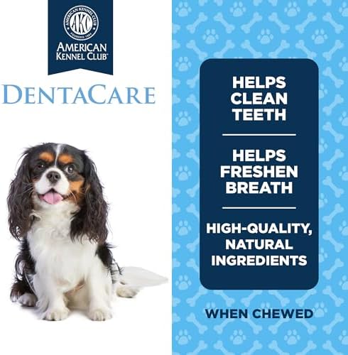 American Kennel Club Small Dentacare Bones, Mint Flavored, 21 Count (Pack of 2)