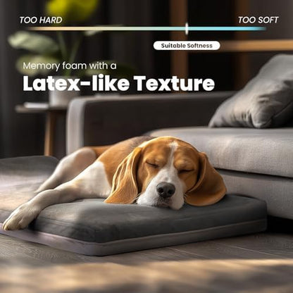 Laifug Orthopedic Dog Beds for Large Dogs,3" Memory Foam Dog Beds,Durable Water Proof Liner Removable and Washable, Nonskid Bottom,Grey 40"x25"x5.5"
