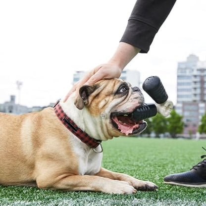 BarkBox Paw Grip Super Chewer Dog Toy - Toy for Small and Medium Dogs
