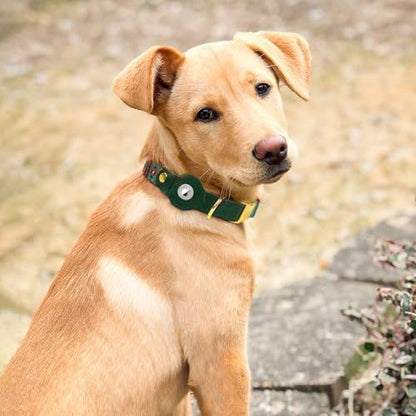 AirTag Dog Collar for Small Medium Large Breed - Adjustable Cute Pattern Dog Collar with Airtag Holder - Soft Leather Tracker GPS Apple Air Tag Pet Collars (X-Small, 9"-12" Neck Fit, Tribal)