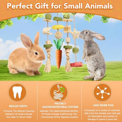 Jorewood Rabbit Chew Toys Bunny Cage Hanging Toy and Treats Rattan Ring with Snacks for Rodent Pets Teeth Healthy