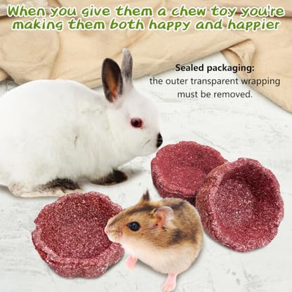 12 Pack Rabbit Chew Toys for Teeth Natural Guinea Pig Toys
