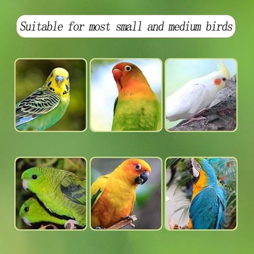 Automatic Acrylic Bird Feeder for Cage, No Mess Bird Feeder for Cage