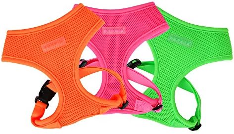 Puppia Neon Dog Harness Over-The-Head No Choke No Pull Walking Training for Small and Medium Dog, Green, Large (Pack of 2)