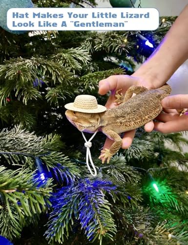 Bearded Dragon Clothes Lizard Toy - Mini hat,Skateboard,Backpack Gifts for Reptiles Pet - Cute Bearded Dragon Costume Accessories for Lizard Iguana Reptiles Small Animals (Pink Seaside Vacation)