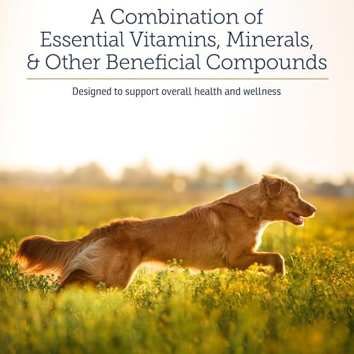 Rx Vitamins Nutritional Support - Essential Minerals & Vitamins - 9.07oz