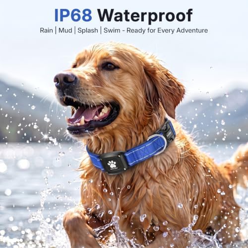 GPS Dog Collar with Tracker, Waterproof, No Monthly Fee, Blue, L