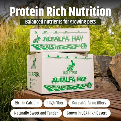 High Desert Alfalfa Hay for Young Rabbits and Guinea Pigs, 1 lb Box