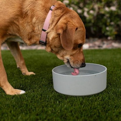 Loving Pets - Dolce Bamboo - Eco-Friendly Pet Bowls & Dishes for Dog, Cats, Puppy Food and Water Dish -Sustainable and Dishwasher Safe, Made with Real Bamboo (Large, Slate-Grey)