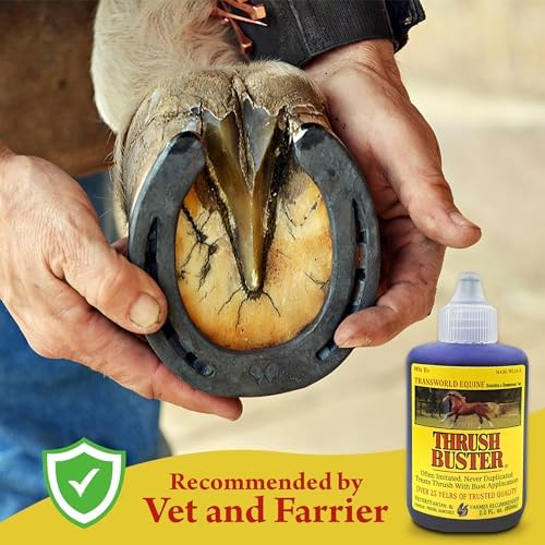 Thrush Treatment for Horses, Hoof Care Liquid to Help Maintain Healthy Hooves, Purple Stain Formula, Easy to Apply, Equine Farrier Favorite, 2 oz