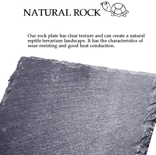 kathson Reptile Basking Platform (7.9 x 11.8 inches), Natural Rock Plate Turtle Food Bowl Feeding Dish Resting Terrace Habitat Decor for Tortoise Turtle Lizard Bearded Dragon Crested Gecko Snake