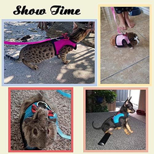 Animal Harness and Leash, 2pcs Ferret Harness No Pull Mesh Pink Blue,M