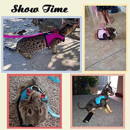 Animal Harness and Leash, 2pcs Ferret Harness No Pull Mesh Pink Blue,S