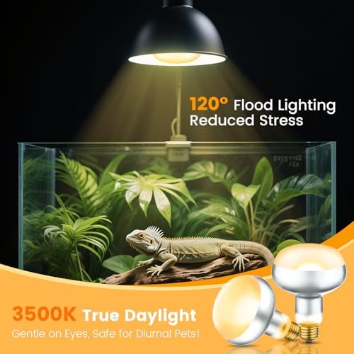 REPTITRIP Dual Reptile Lamp Fixture with 100W Daytime Heat & 100W Nighttime Infrared Heat Bulbs, 2 Independent Switches, Reptile Heat Lamp Combo Pack - No UVB