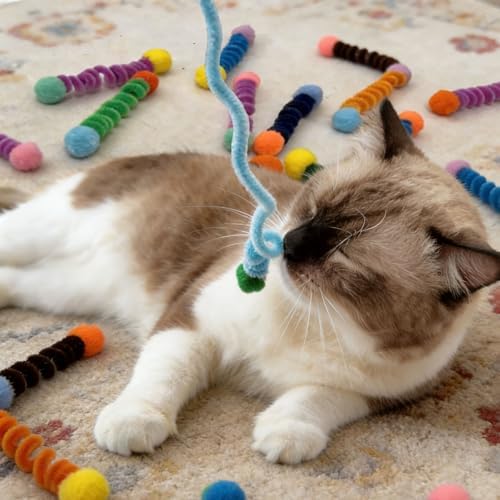 IUHKBH Cat Spring, 24 PCS Vibrant Spiral Cat Coil Interactive Kitten Toys
