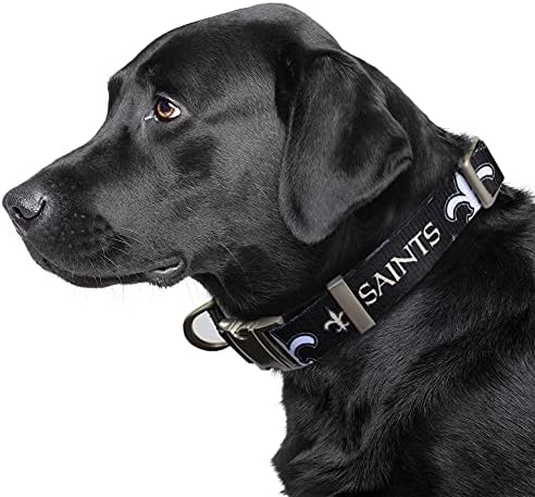 Littlearth NFL Detroit Lions Pet Premium Collar, Team Color, Small