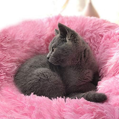 Cat Bed for Indoor Cats,Mini Plush Self Warming Kitten Bed, 20 Inch