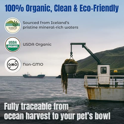 Life Line Organic Ocean Kelp Supplement for Dogs, Cats, Horses & Livestock | Natural Source of Iodine for Skin, Shiny Coat & Immune Support | Helps Reduce Tartar, Shedding & Aids Digestion – 1.5 lb