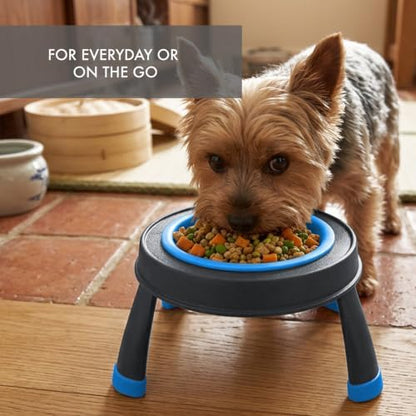 Dexas Pets Single Elevated Pet Feeder/Pet Bowl, I.5 Cup Capacity, Pro Blue, Small