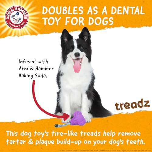 Arm & Hammer Super Treadz Baking Soda Dental Dog Chew Toy, Large, Elephant