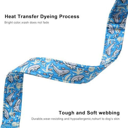 Lionet Paws Blue Summer Ocean Dog Collar with Cute Blue Whales Pattern Pendant - Female Male Boy Dog Collar for Small Medium Large Dogs M