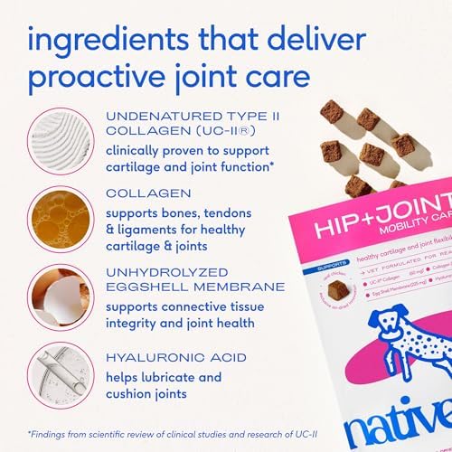 Native Pet Mobility Care - Hip & Joint Supplement for Dogs - UC-II Collagen, Egg Shell Membrane & Hyaluronic Acid - Dog Joint Supplement Chews Supports Cartilage, Mobility & Flexibility - 120 Chews