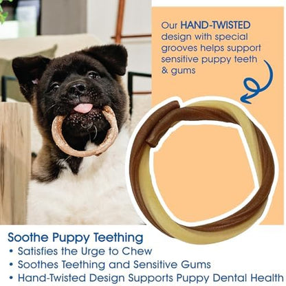 N-Bone Puppy Teething Rings, Taste of Texas Queso Con Carne Flavor, Natural Puppy Teething Chews, Helps Soothe Teething Gums, Calcium Enriched Chew Treats, 3 Rings