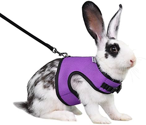 Niteangel Adjustable Soft Harness with Elastic Leash for Rabbits (L, Purple)