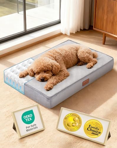 OhGeni Orthopedic Waterproof Small Dog Bed, Memory Foam, 24 inch(Gray)