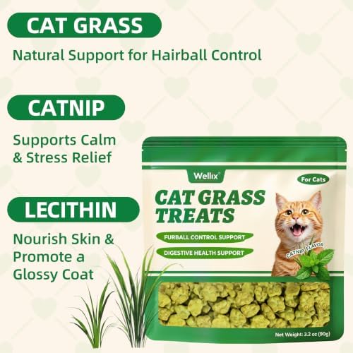 Wellix Cat Grass Treats with Catnip & Salmon, Cat Hairball Treats, 3.2 oz