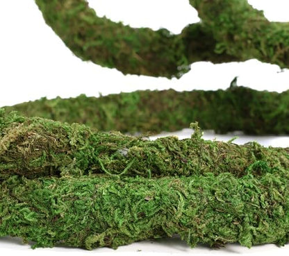 USMOLA Moss Vine for Reptiles, Bendable Climbing Vines Reptile Tank Accessories, Natural Moss Rope for Leopard Gecko, Lizard, Snake, Chameleon, Frog Terrarium Decor (Jungle Green, 6.5 FT) (Pack of 2)