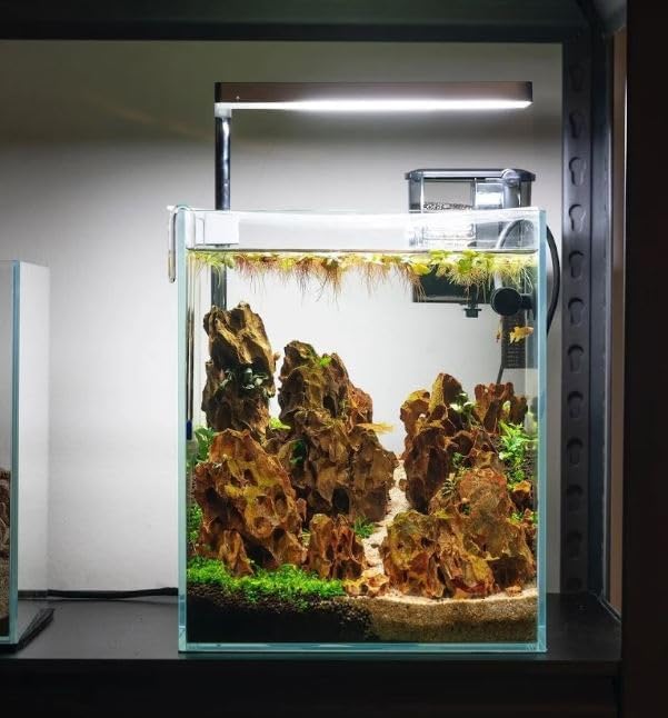 Nano Tall Rimless Frameless Extra Clear Glass Aquarium, Low Iron Glass Tank, 5mm Glass, White Leveling Mat Included, w/Lids Options