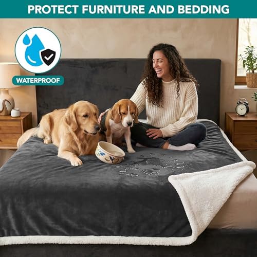 PetAmi Waterproof Dog Blanket for Large Dog Cat Pet, 60x80, Charcoal