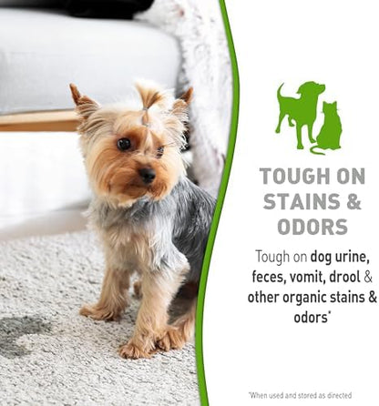 Nature's Miracle Simply Pet Stain and Odor Remover, 10 oz