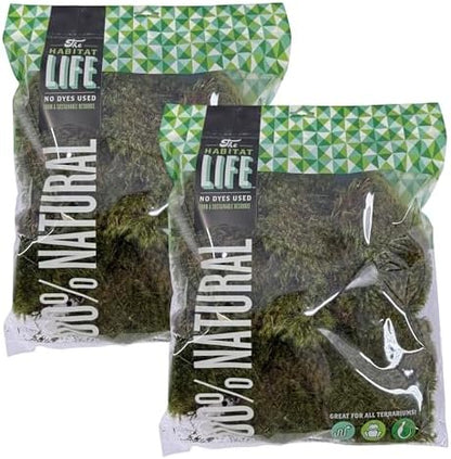 Mood Moss for Terrarium Habitats, Medium 2-Pack