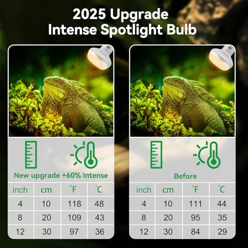 LUCKY HERP Intense Heat Lamp Bulbs for Reptiles 75W 2 Pack, UVA Daylight Reptile Heat Lamp, Reptile Basking Heat Light Bulb for Amphibian, Tortoise, Bearded Dragon, Lizard, Turtle, Snake Heating Use