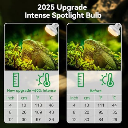 LUCKY HERP Intense Heat Lamp Bulbs for Reptiles 75W 2 Pack, UVA Daylight Reptile Heat Lamp, Reptile Basking Heat Light Bulb for Amphibian, Tortoise, Bearded Dragon, Lizard, Turtle, Snake Heating Use