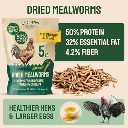 Hatortempt 5lb Dried Mealworms for Chickens & Wild Birds, Chicken Feed