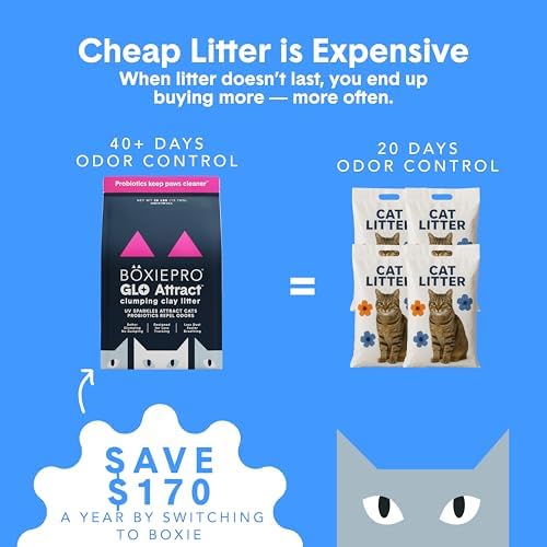 Boxie Glo Attract Clumping Cat Litter 40+ Day Odor Control Dust Free 40 lb