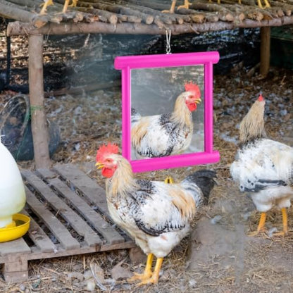 Sadnyy Extra Large Chicken Mirror Toy for Coop Square Double Side Mirror