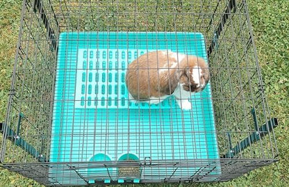 Saguaro Acres Rabbit and Small Animal Cage Resting Mat for Wire Floored Cages - Pack of 6 (Pink, Blue, Teal, Purple, Grey and Orange)