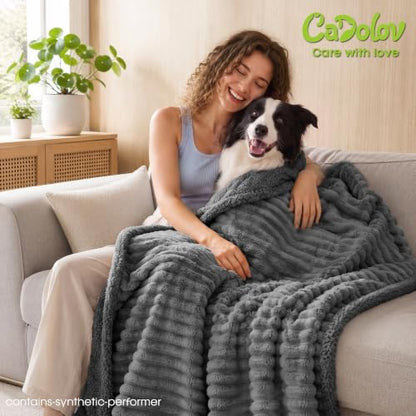 Waterproof Dog Blanket, Washable Reversible Pet Blankets, 27x39in, Grey