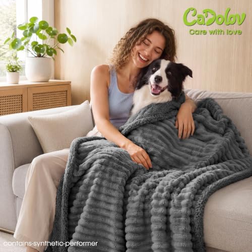 Waterproof Dog Blanket, Washable Reversible Pet Blankets, 19x27in, Grey
