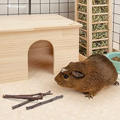 Niteangel Apple Sticks Chew Toys: Natural Herbal Flavor & No Additives