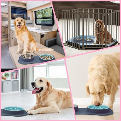 Slow Feeder Dog Bowls 3 in 1 Stainless Steel Food Water Bowl to Slow Eating