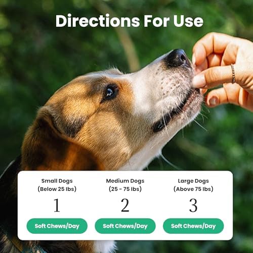 Dog Probiotics and Multivitamin Chews for Digestive Health, Immune Support, Gut Health, Allergy Support, Dog Vitamins, with Vitamin C, Omega 3, Colostrum, 60 Soft Chews per Jar
